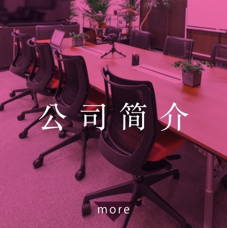 公司简介